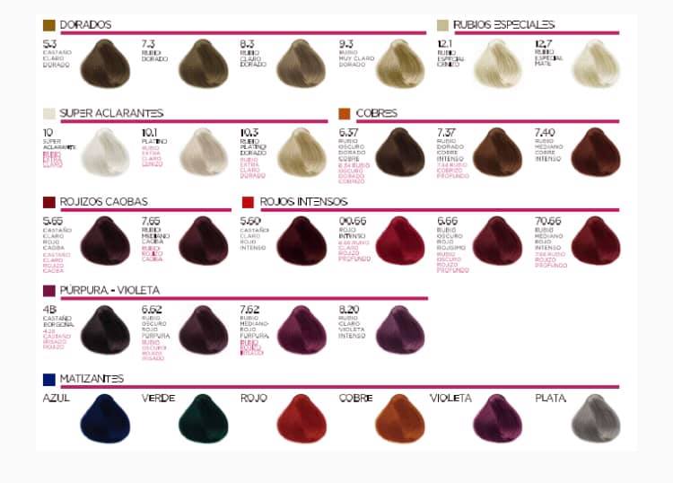 Tinte Para El Cabello - BMT Duo Profesional